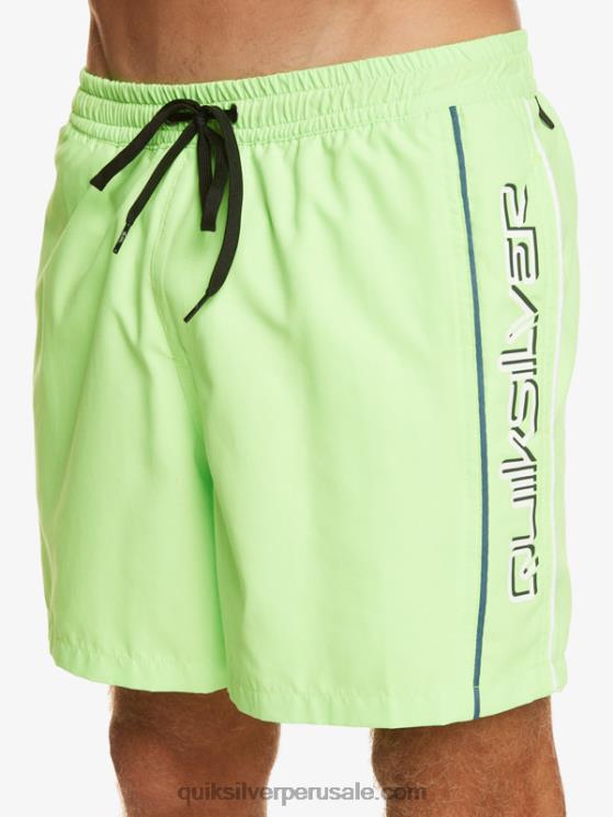 Quiksilver N8LNT696 hombres geco verde todos los días vert 16 voleas