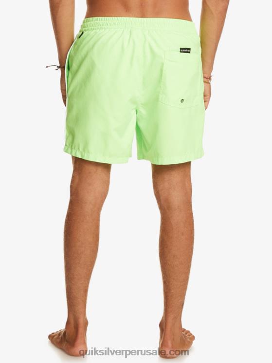 Quiksilver N8LNT696 hombres geco verde todos los días vert 16 voleas