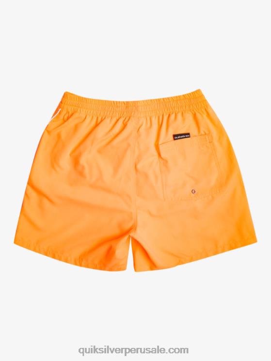 Quiksilver N8LNT697 hombres estallido de naranja todos los días vert 16 voleas