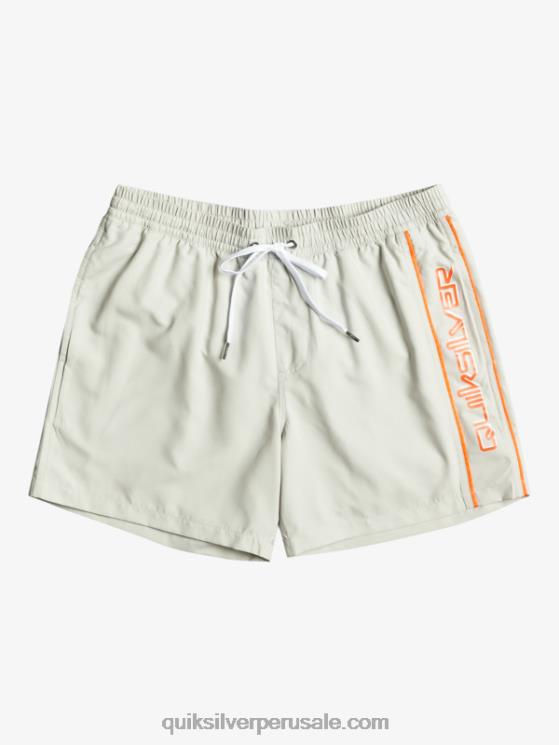 Quiksilver N8LNT700 hombres gris violeta todos los días vert 16 voleas