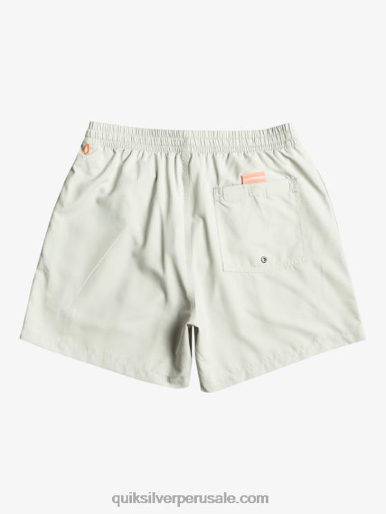 Quiksilver N8LNT700 hombres gris violeta todos los días vert 16 voleas