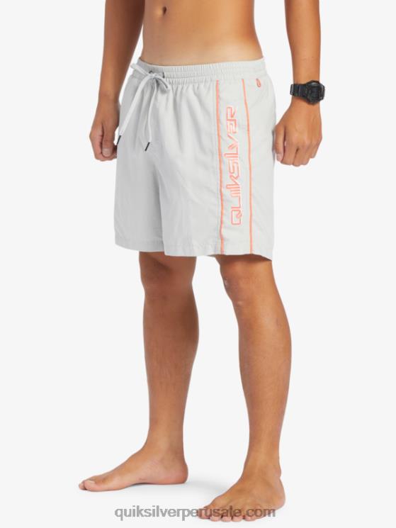 Quiksilver N8LNT700 hombres gris violeta todos los días vert 16 voleas