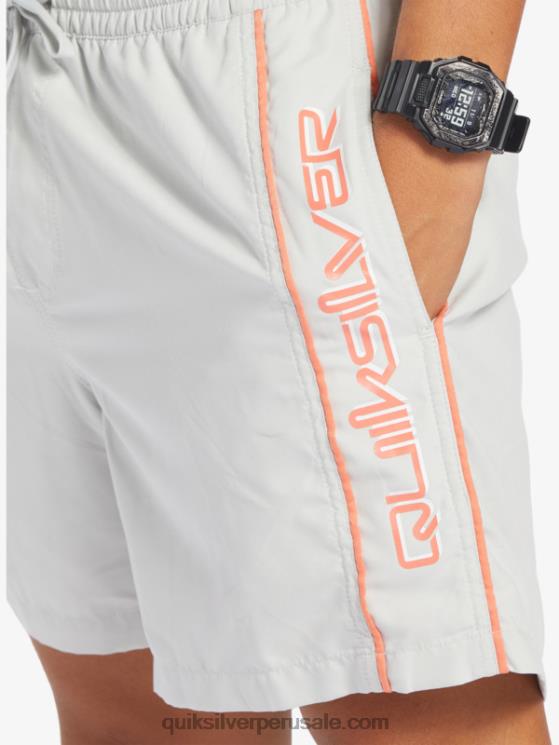 Quiksilver N8LNT700 hombres gris violeta todos los días vert 16 voleas