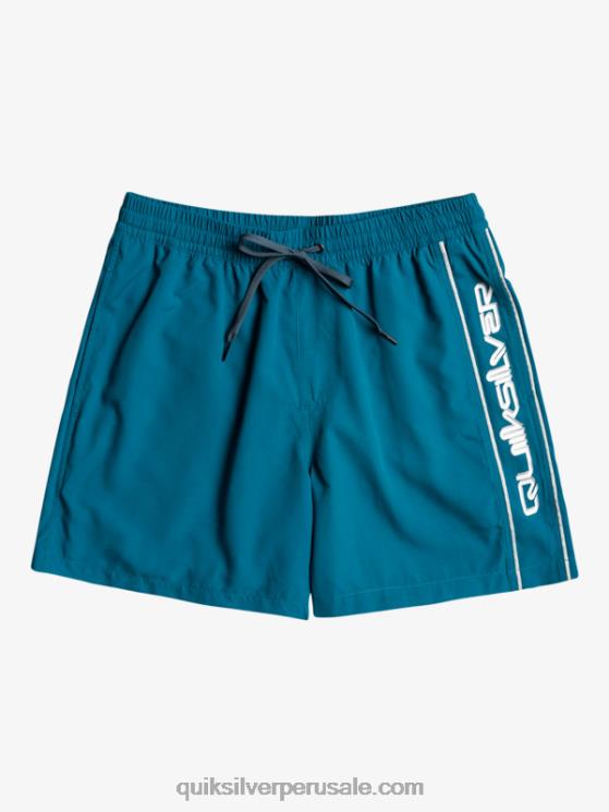Quiksilver N8LNT701 hombres azul marroquí todos los días vert 16 voleas