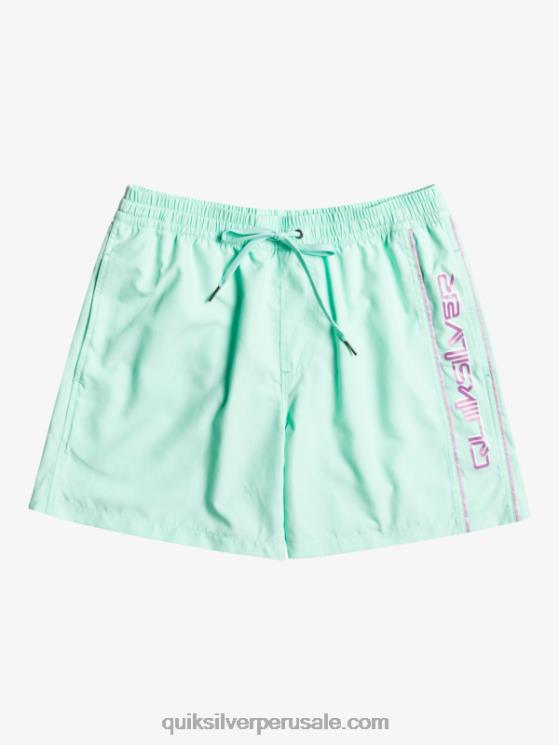 Quiksilver N8LNT702 hombres vaso de playa todos los días vert 16 voleas