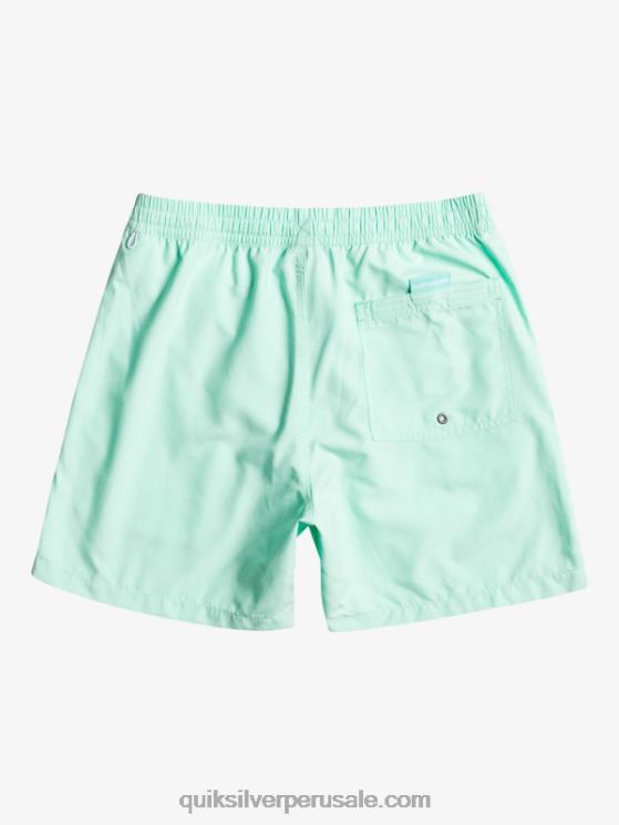 Quiksilver N8LNT702 hombres vaso de playa todos los días vert 16 voleas