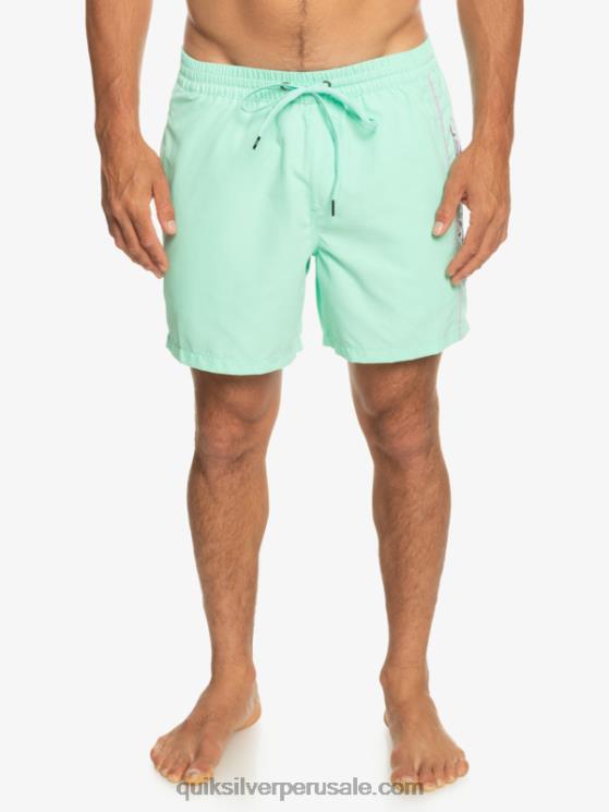 Quiksilver N8LNT702 hombres vaso de playa todos los días vert 16 voleas