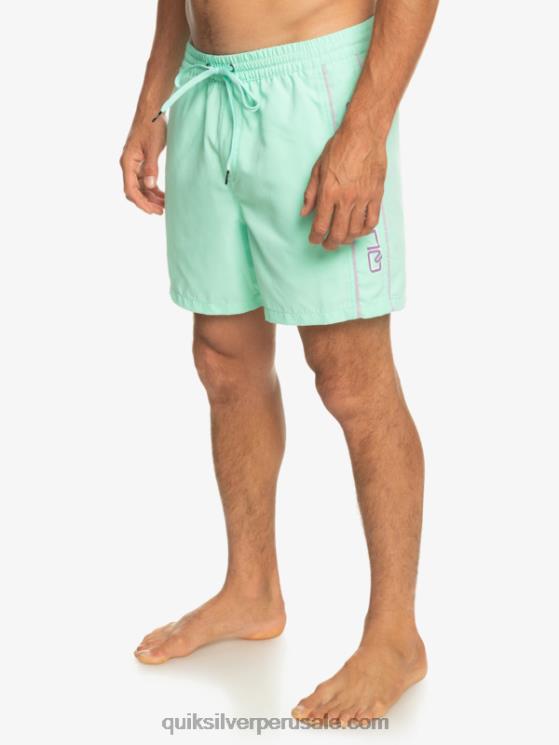 Quiksilver N8LNT702 hombres vaso de playa todos los días vert 16 voleas