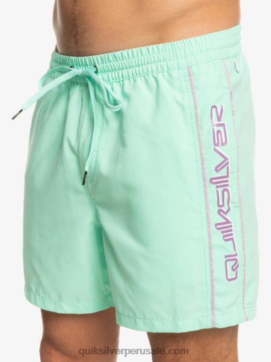Quiksilver N8LNT702 hombres vaso de playa todos los días vert 16 voleas