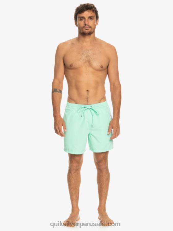 Quiksilver N8LNT702 hombres vaso de playa todos los días vert 16 voleas