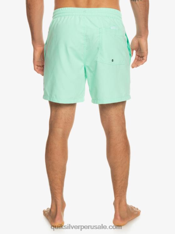 Quiksilver N8LNT702 hombres vaso de playa todos los días vert 16 voleas