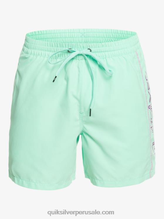 Quiksilver N8LNT702 hombres vaso de playa todos los días vert 16 voleas