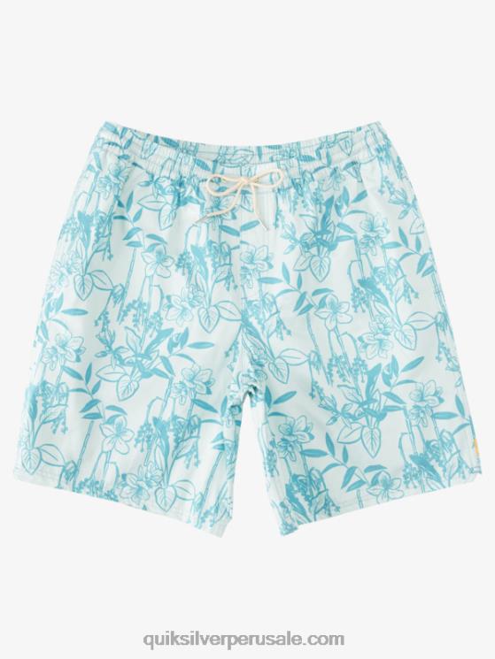 Quiksilver N8LNT939 hombres sutil verde suelto vy Waterman Loose Ways 17 voleas
