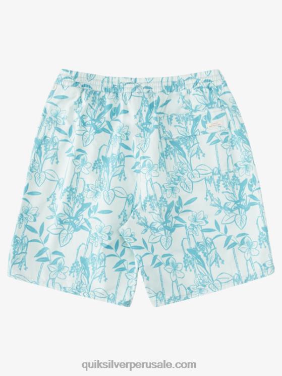 Quiksilver N8LNT939 hombres sutil verde suelto vy Waterman Loose Ways 17 voleas