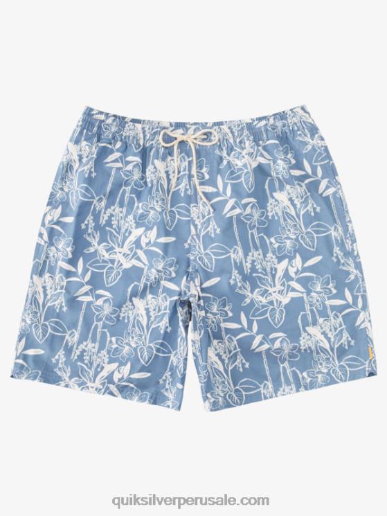 Quiksilver N8LNT940 hombres alférez azul formas sueltas vy Waterman Loose Ways 17 voleas