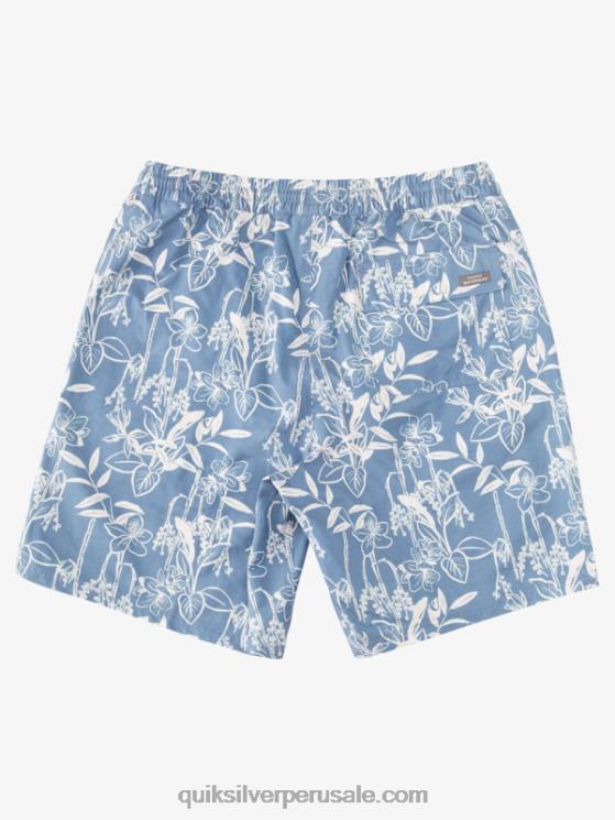 Quiksilver N8LNT940 hombres alférez azul formas sueltas vy Waterman Loose Ways 17 voleas