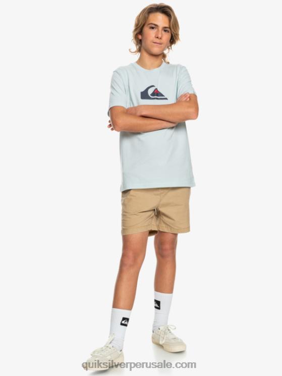 Quiksilver N8LNT2080 Niños playa 8-16 taxer 15 pantalones cortos con cintura elástica