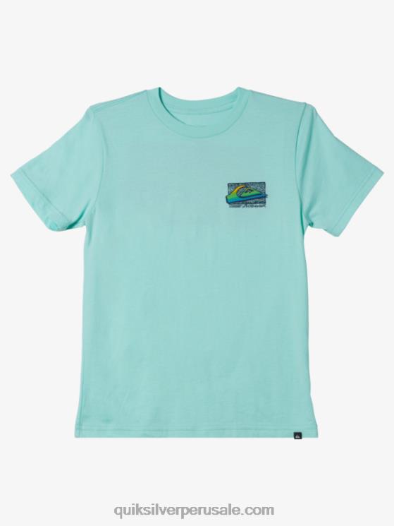 Quiksilver N8LNT2124 Niños vaso de playa camiseta retro desteñida 8-16