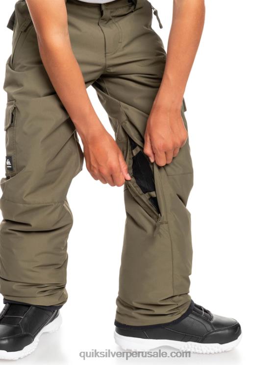 Quiksilver N8LNT2259 Niños hoja de uva 8-16 pantalones de nieve porter