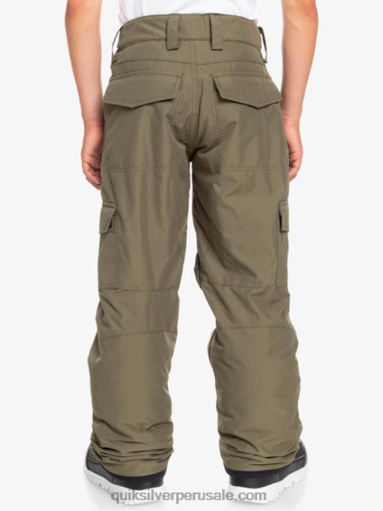 Quiksilver N8LNT2259 Niños hoja de uva 8-16 pantalones de nieve porter