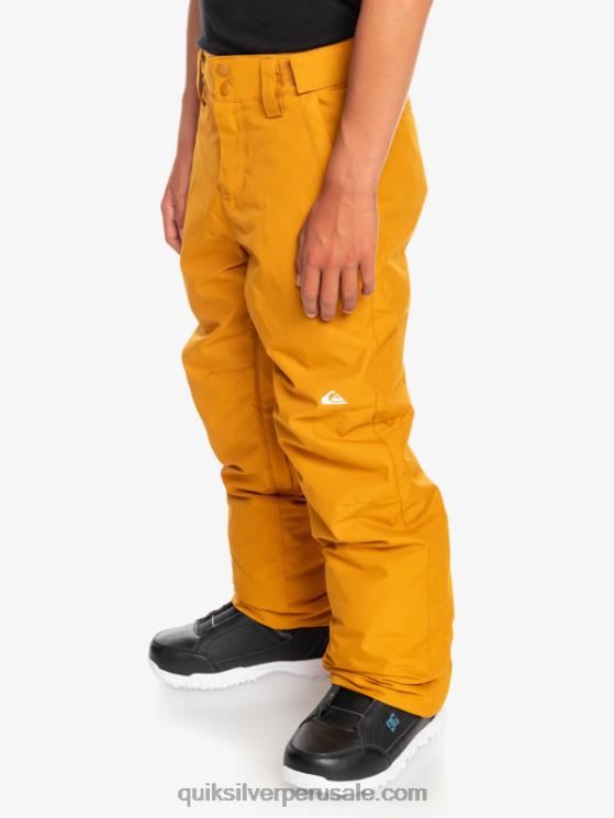 Quiksilver N8LNT2293 Niños espino amarillo 8-16 pantalones de nieve estate