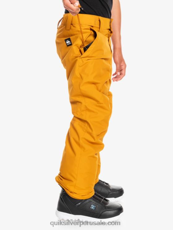 Quiksilver N8LNT2293 Niños espino amarillo 8-16 pantalones de nieve estate