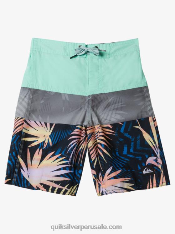 Quiksilver N8LNT1899 Niños vaso de playa 2-7 todos los días panel 14 bañadores