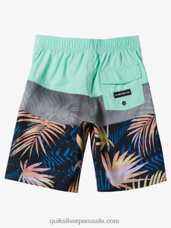 Quiksilver N8LNT1899 Niños vaso de playa 2-7 todos los días panel 14 bañadores