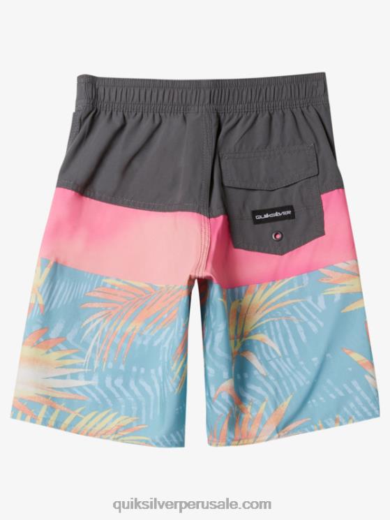 Quiksilver N8LNT1900 Niños puerta de Hierro 2-7 todos los días panel 14 bañadores