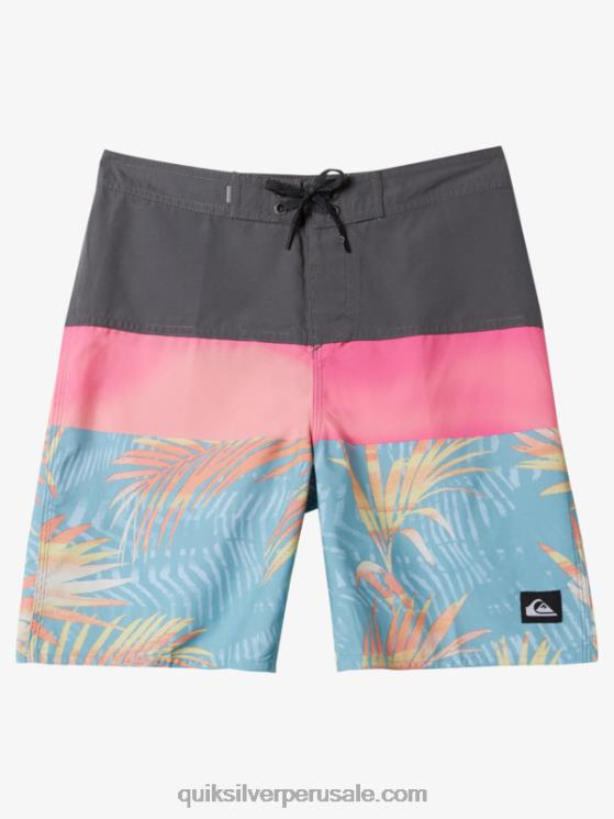 Quiksilver N8LNT1905 Niños puerta de Hierro 8-16 todos los días panel 17 bañadores