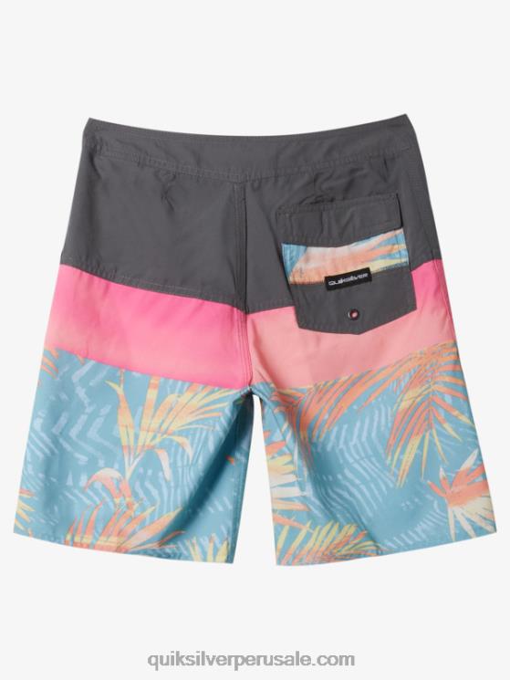 Quiksilver N8LNT1905 Niños puerta de Hierro 8-16 todos los días panel 17 bañadores