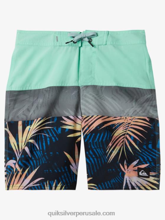 Quiksilver N8LNT1907 Niños vaso de playa 8-16 todos los días panel 17 bañadores