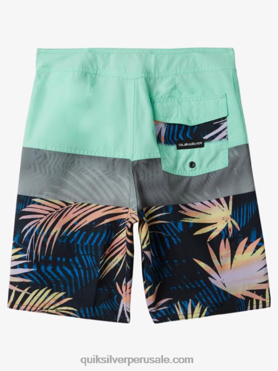 Quiksilver N8LNT1907 Niños vaso de playa 8-16 todos los días panel 17 bañadores