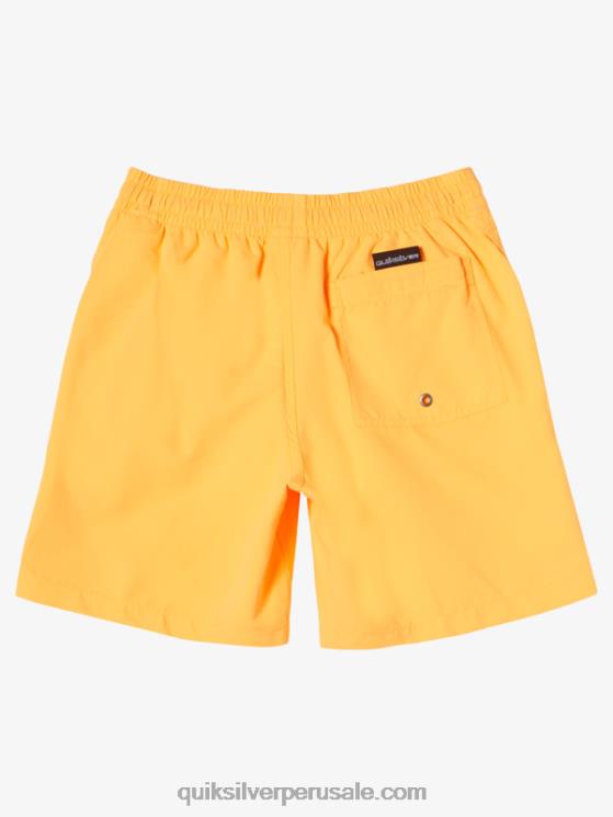 Quiksilver N8LNT1917 Niños estallido de naranja 8-16 todos los días 15 voleas