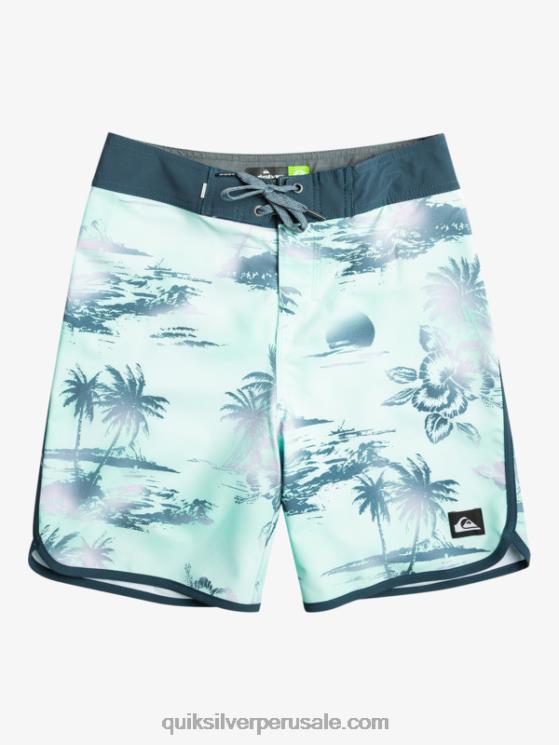 Quiksilver N8LNT2020 Niños vaso de playa 8-16 surfsilk festoneado 17 bañadores