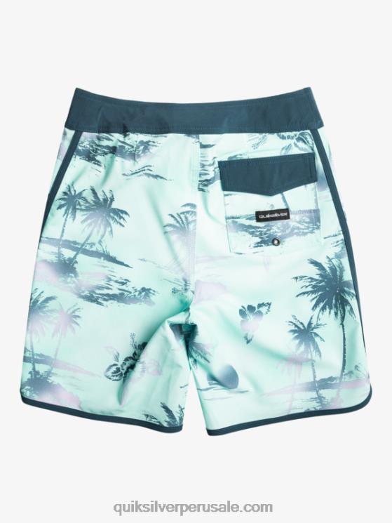 Quiksilver N8LNT2020 Niños vaso de playa 8-16 surfsilk festoneado 17 bañadores