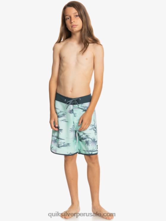 Quiksilver N8LNT2020 Niños vaso de playa 8-16 surfsilk festoneado 17 bañadores
