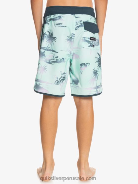 Quiksilver N8LNT2020 Niños vaso de playa 8-16 surfsilk festoneado 17 bañadores