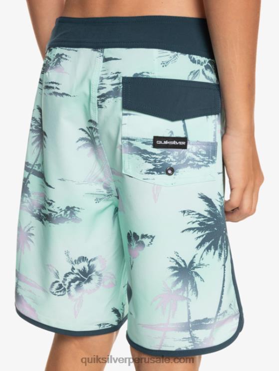 Quiksilver N8LNT2020 Niños vaso de playa 8-16 surfsilk festoneado 17 bañadores