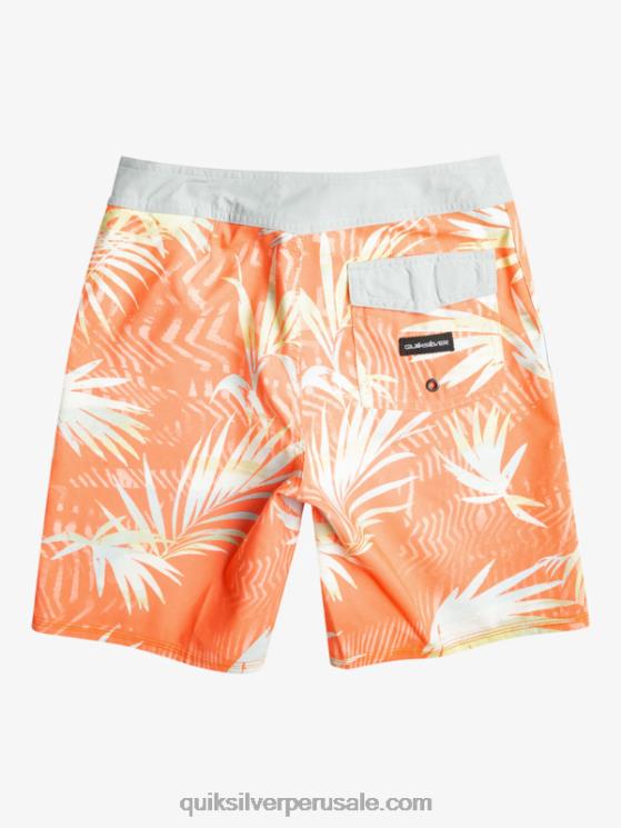 Quiksilver N8LNT2139 Niños salmón fresco 8-16 todos los días qs 69 16 bañadores