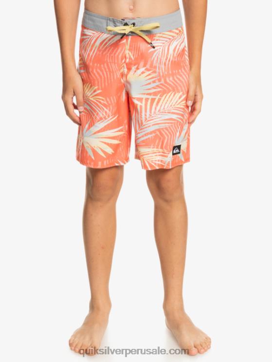 Quiksilver N8LNT2139 Niños salmón fresco 8-16 todos los días qs 69 16 bañadores