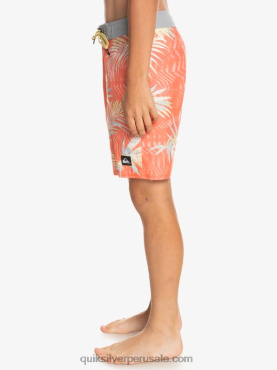 Quiksilver N8LNT2139 Niños salmón fresco 8-16 todos los días qs 69 16 bañadores