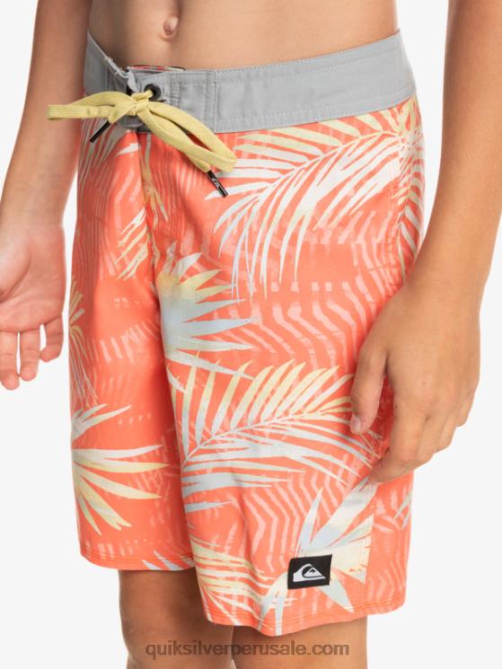 Quiksilver N8LNT2139 Niños salmón fresco 8-16 todos los días qs 69 16 bañadores