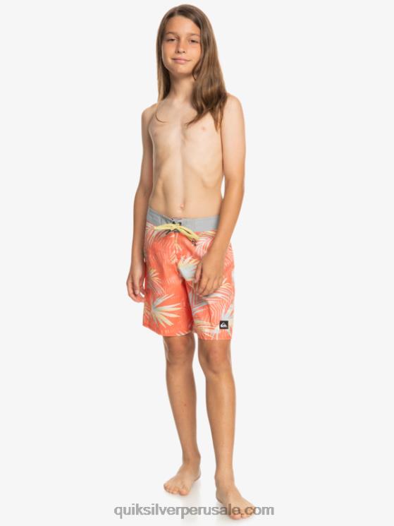 Quiksilver N8LNT2139 Niños salmón fresco 8-16 todos los días qs 69 16 bañadores