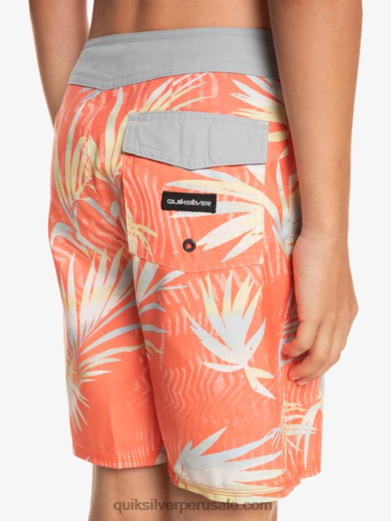 Quiksilver N8LNT2139 Niños salmón fresco 8-16 todos los días qs 69 16 bañadores