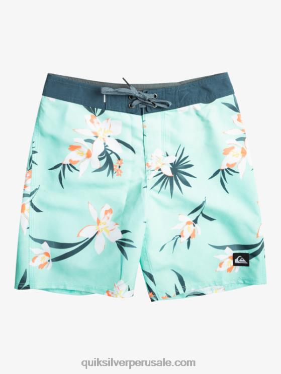 Quiksilver N8LNT2140 Niños vaso de playa 8-16 todos los días qs 69 16 bañadores