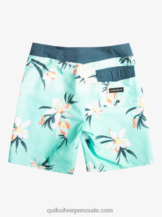 Quiksilver N8LNT2140 Niños vaso de playa 8-16 todos los días qs 69 16 bañadores