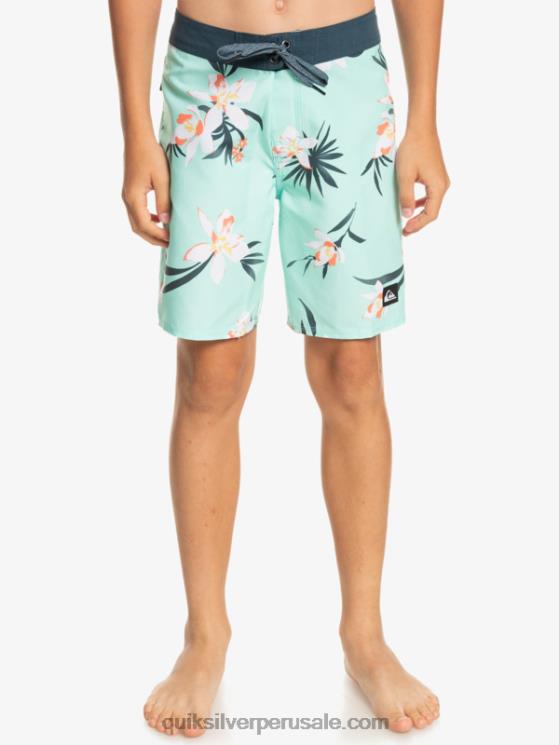 Quiksilver N8LNT2140 Niños vaso de playa 8-16 todos los días qs 69 16 bañadores