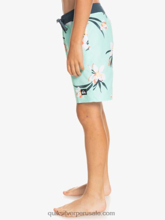 Quiksilver N8LNT2140 Niños vaso de playa 8-16 todos los días qs 69 16 bañadores