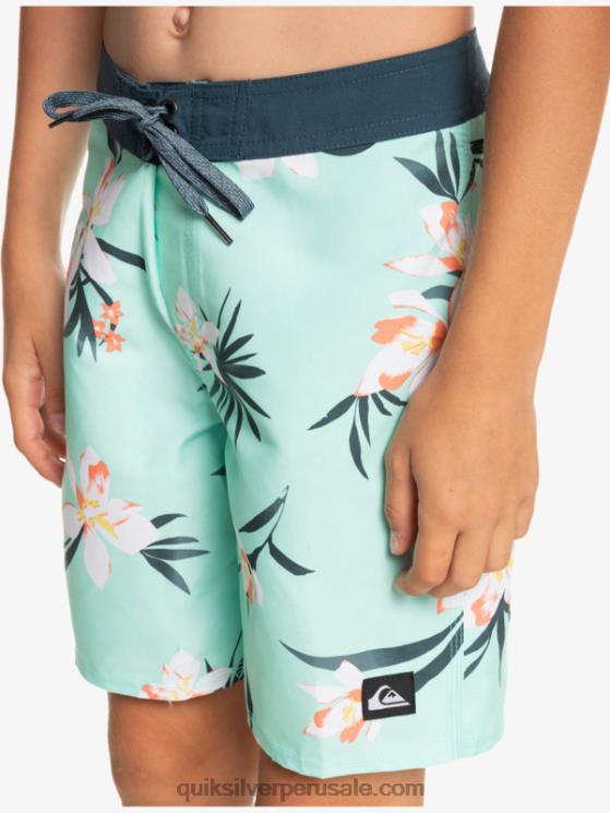 Quiksilver N8LNT2140 Niños vaso de playa 8-16 todos los días qs 69 16 bañadores